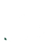 خريف ظفار 2025 16