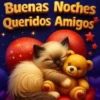 Buenas Noches Queridos Amigos
