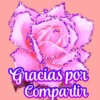 Flores (づ｡◕‿‿◕｡)づ 🌺🌺🌺 17