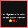 Frases💞27🇵🇪Movi 16