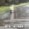 jeta!!la ropa!