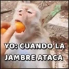 YO: CUANDO LA JAMBRE ATACA