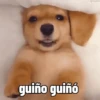 guiño guiñó aphador