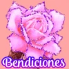 Flores (づ｡◕‿‿◕｡)づ 🌺🌺🌺 19