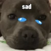 sad