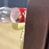 Bebés divertidos 👶🏼 13