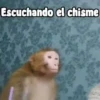 Escuchando el chisme