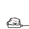 Fluffy meow 11