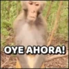 OYE AHORA!