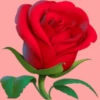 Flores (づ｡◕‿‿◕｡)づ 🌺🌺🌺 21
