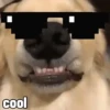 cool