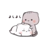 二。