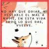 Frases💞27🇵🇪Movi 19