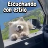 Escuchando con estilo