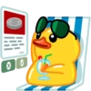 duck mov 17