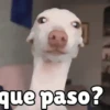 que paso?