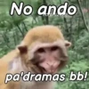 Monos groseros pal chat 🐒🐵 10