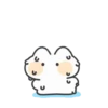 fluffly meow meow cute cat 4 17