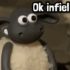 Y Ok infiel