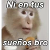 Monos groseros pal chat 🐒🐵 15