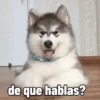 de que hablas?