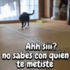Ahh siii? no sabés con quién te metiste
