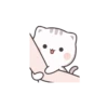 Gatos fofos 22
