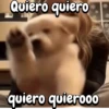 Quiero quiero quiero quierooo