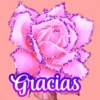 Flores (づ｡◕‿‿◕｡)づ 🌺🌺🌺 24