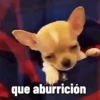que aburrición