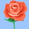 Flores (づ｡◕‿‿◕｡)づ 🌺🌺🌺 25