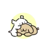 Kakao friends maltese 1 18