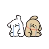 Kakao friends maltese 4 20