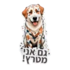 גם אני מטרץ!