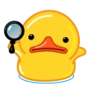 duck mov 21