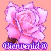Flores (づ｡◕‿‿◕｡)づ 🌺🌺🌺 26