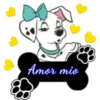 Perritos🐕👣2🇨🇴Movi 22