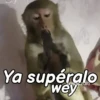 Monos groseros pal chat 🐒🐵 14