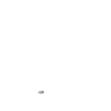 Nailoong Dramatic 17 12