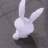 ❤️SNOWBALL ANIMADO❤️🐇 24