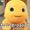*C sabrosea*