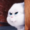 ❤️SNOWBALL ANIMADO❤️🐇 12