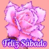 Flores (づ｡◕‿‿◕｡)づ 🌺🌺🌺 27