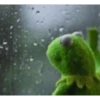 waiting 26