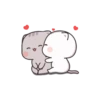 Gatos fofos 25