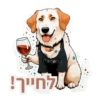 המפרצת לחייך!