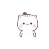 Gatos fofos 26