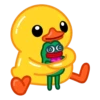 duck mov 28