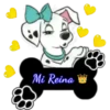 Perritos🐕👣2🇨🇴Movi 27