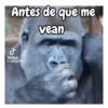 Monos traviesos 🙈💯 9